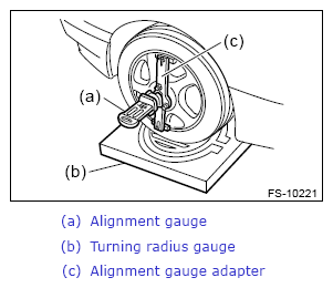 G13863118
