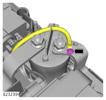 G13923646