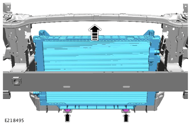 G13945454