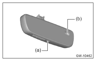 G13953351