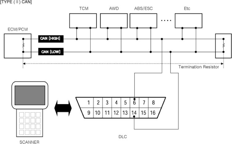 G14175538