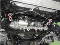 G14176563