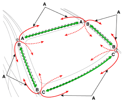 G14235598