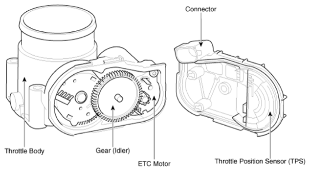 G14774488