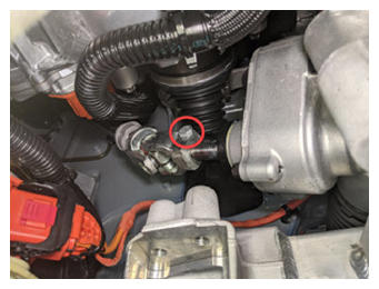 G15411172