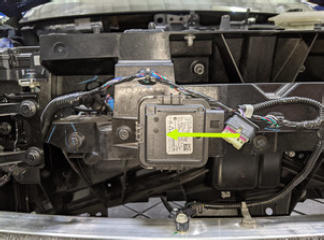 G15437608