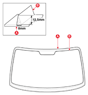 G15462556