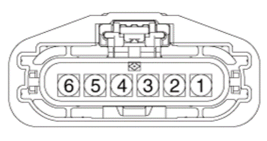G15467196