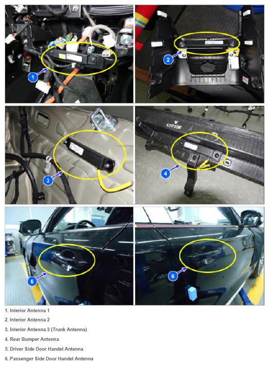G15592952