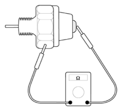 G15694286
