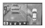 G15715874