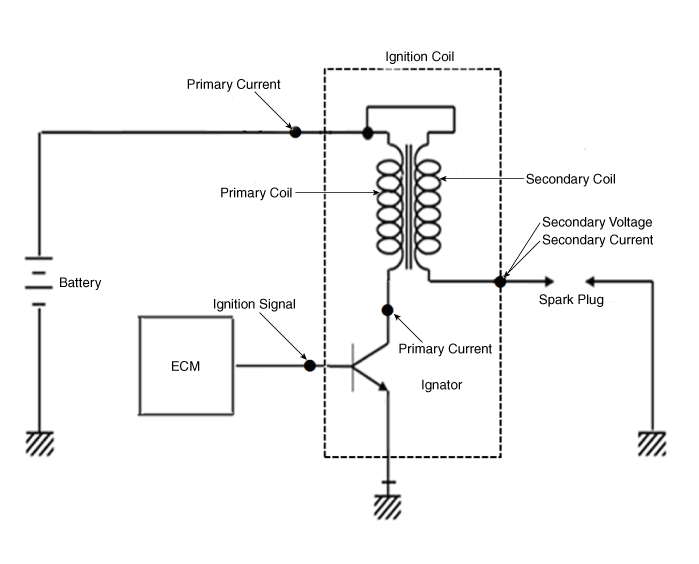 G16077616