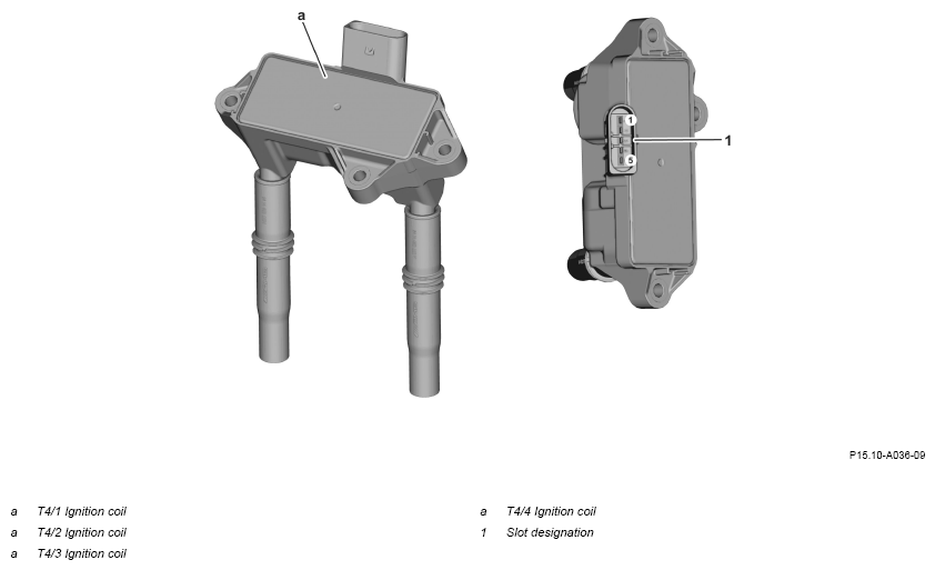 G16230904