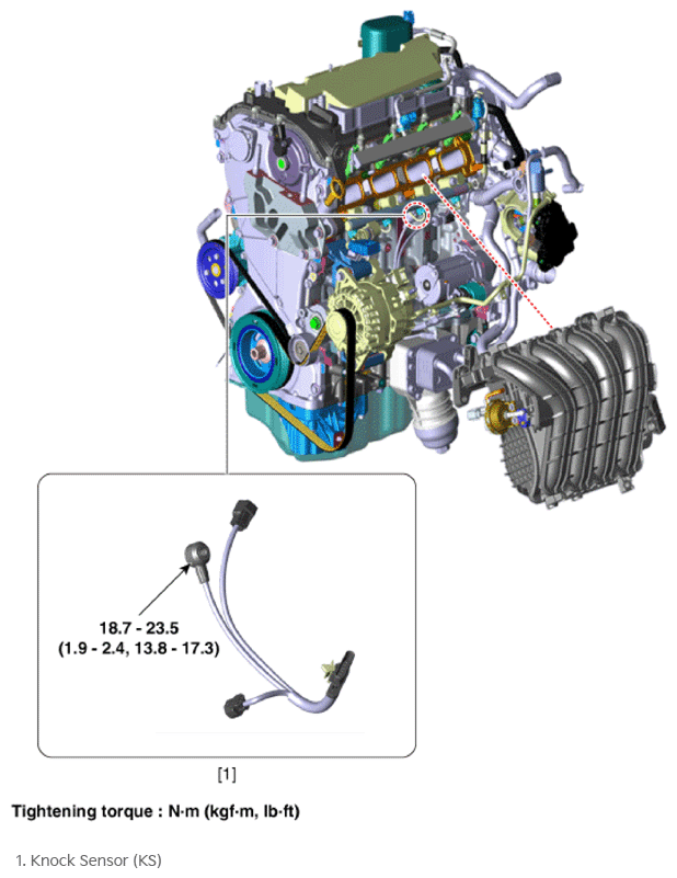 G16477662