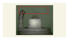 G16515755