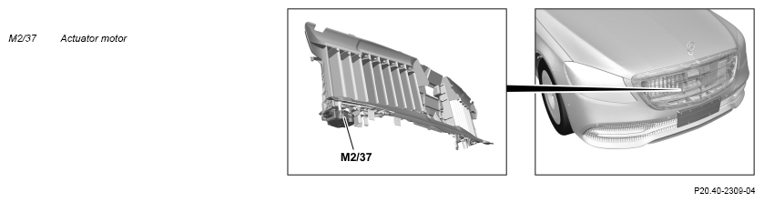 G16555564