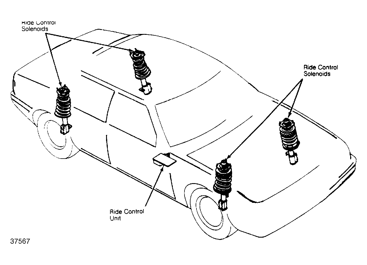 G37567