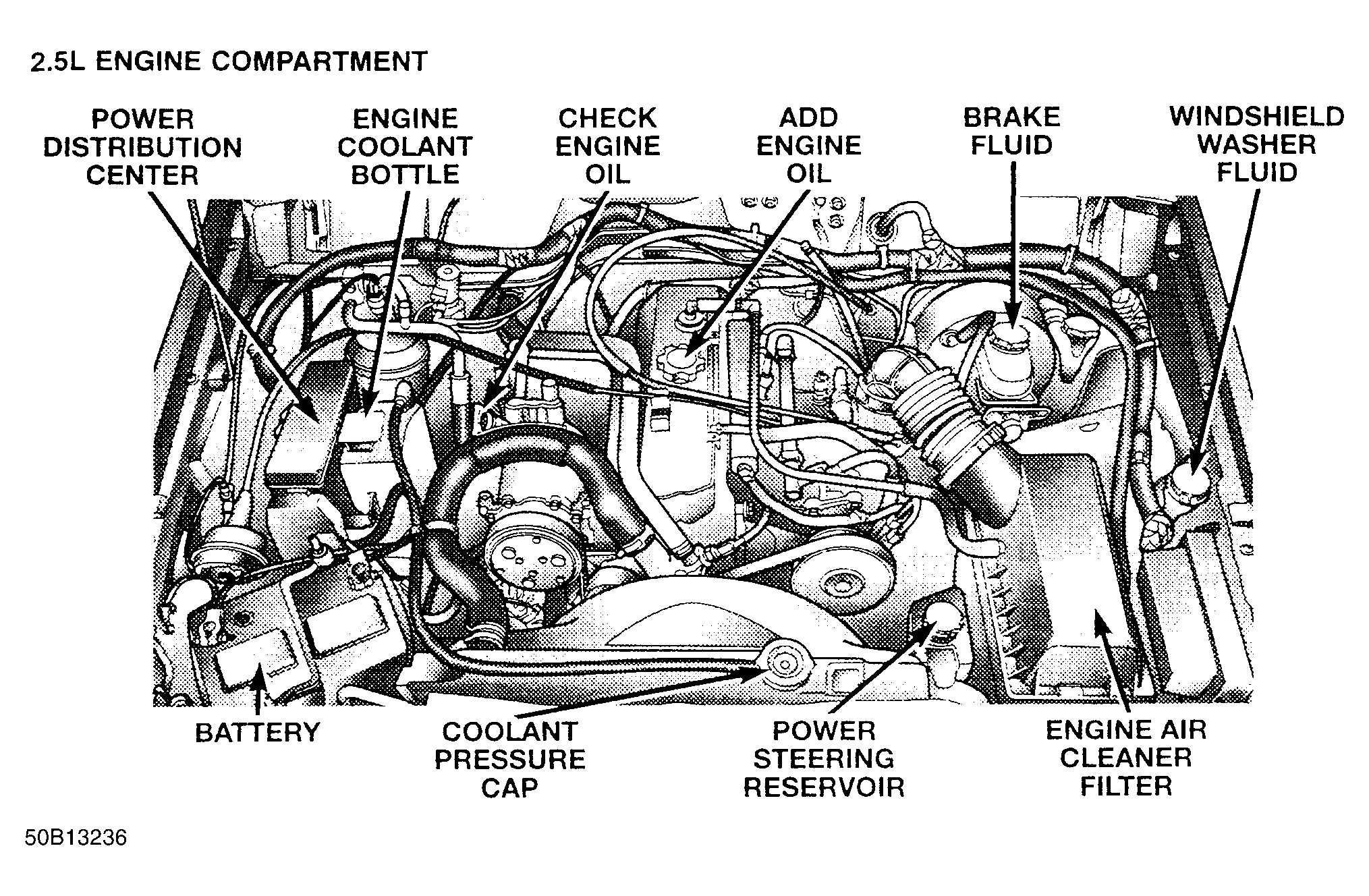 G50B13236