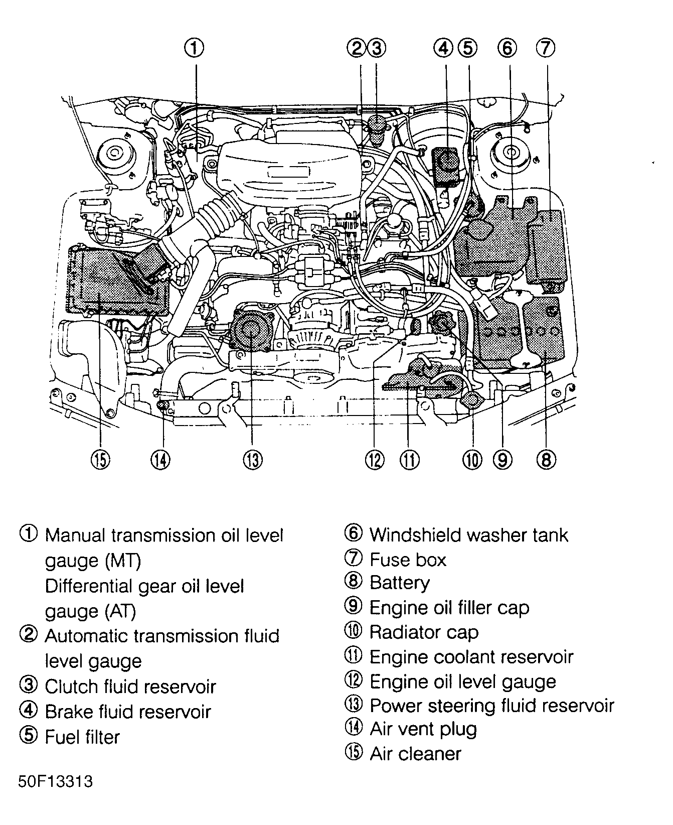 G50F13313