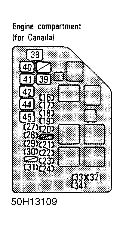 G50H13109