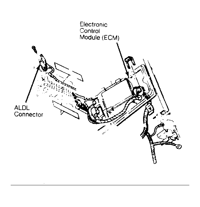 G53709