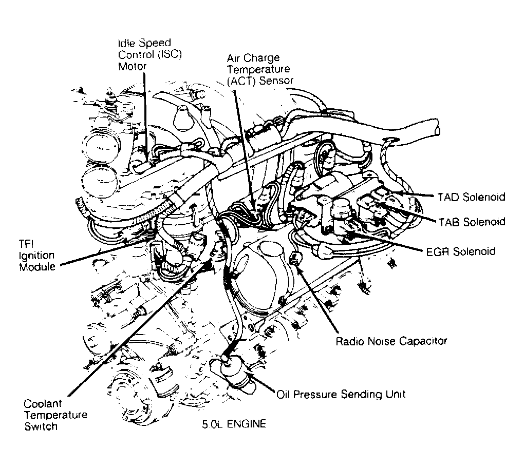 G53824