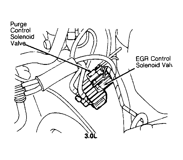 G91E09658