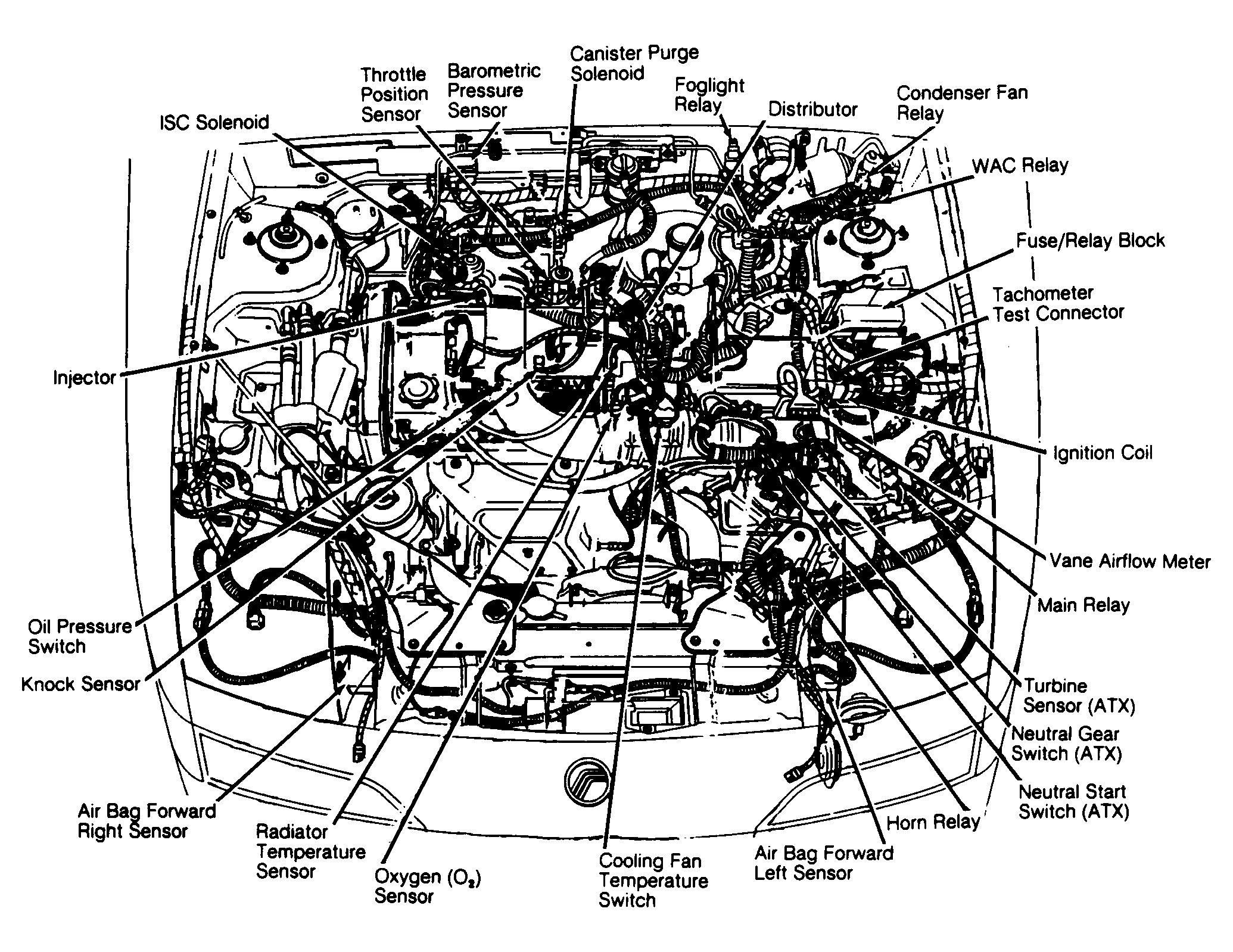 G92A16493