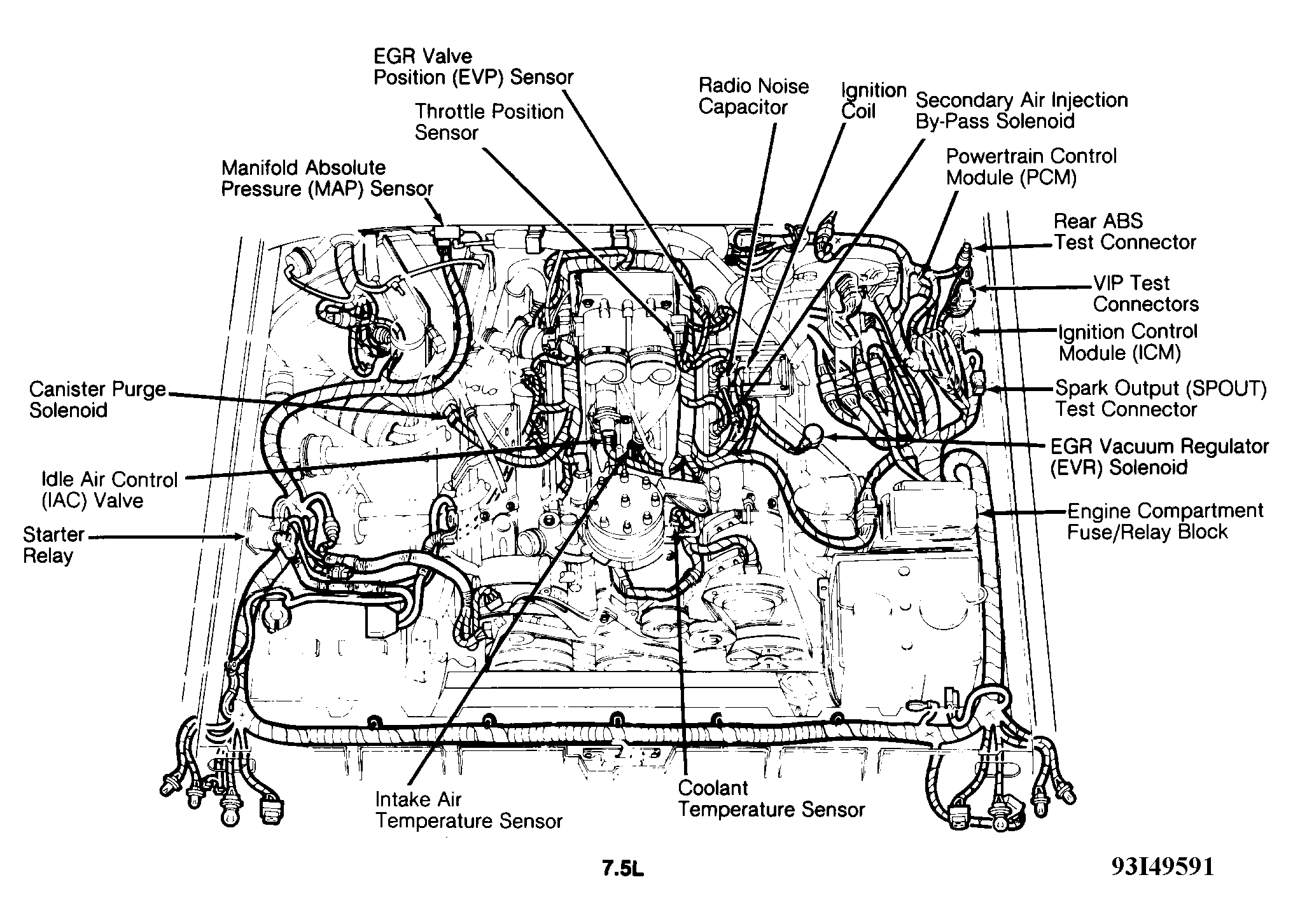 G93I49591