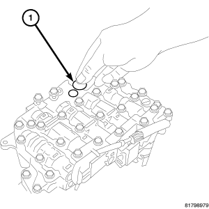 GC0056597
