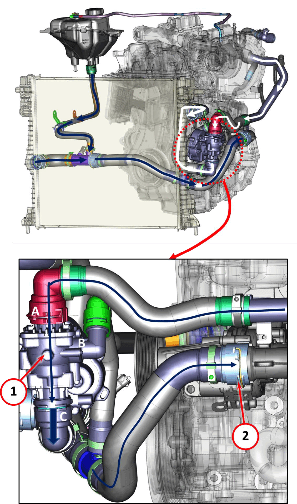GC0195920