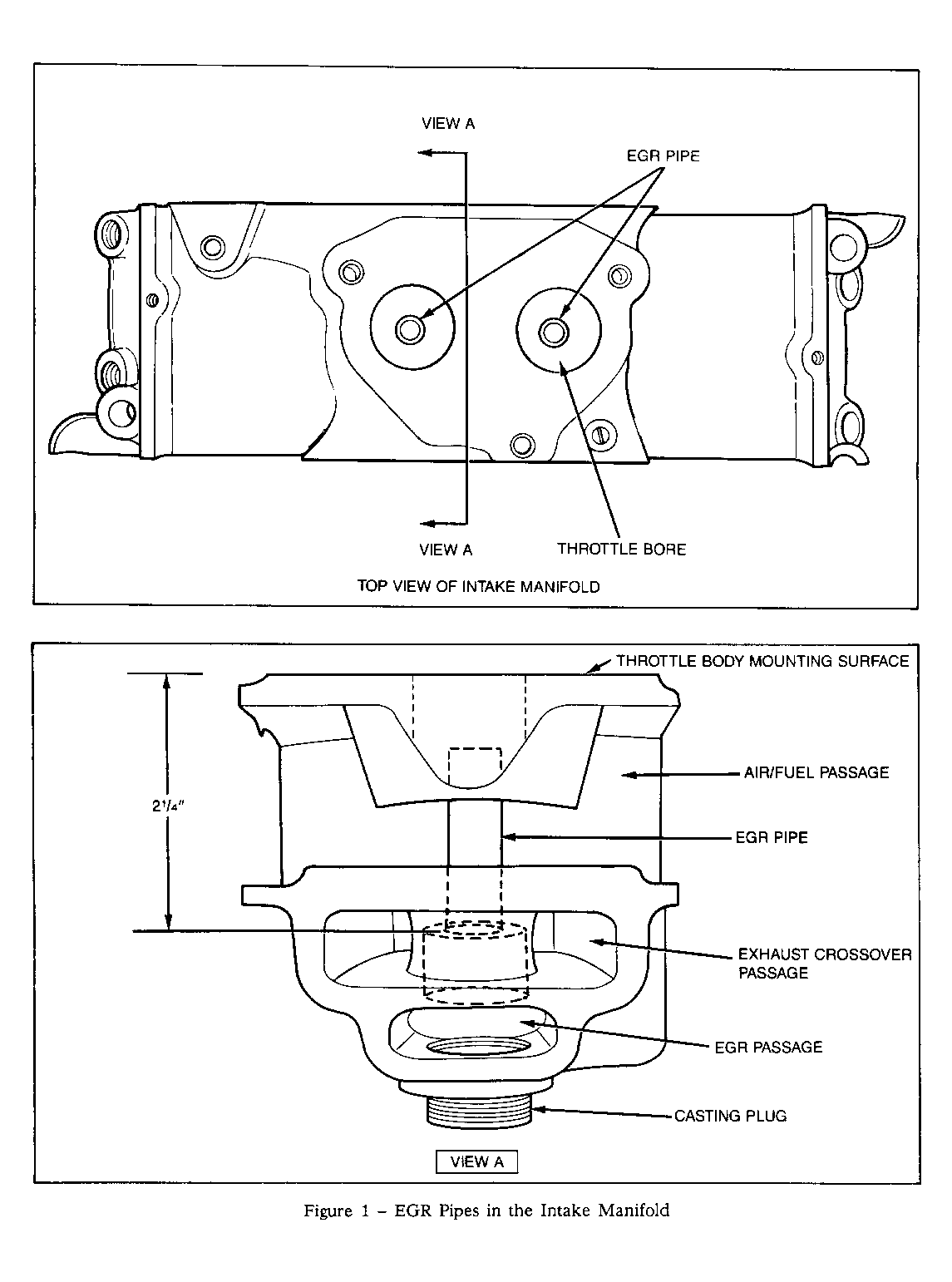 GE00W005555