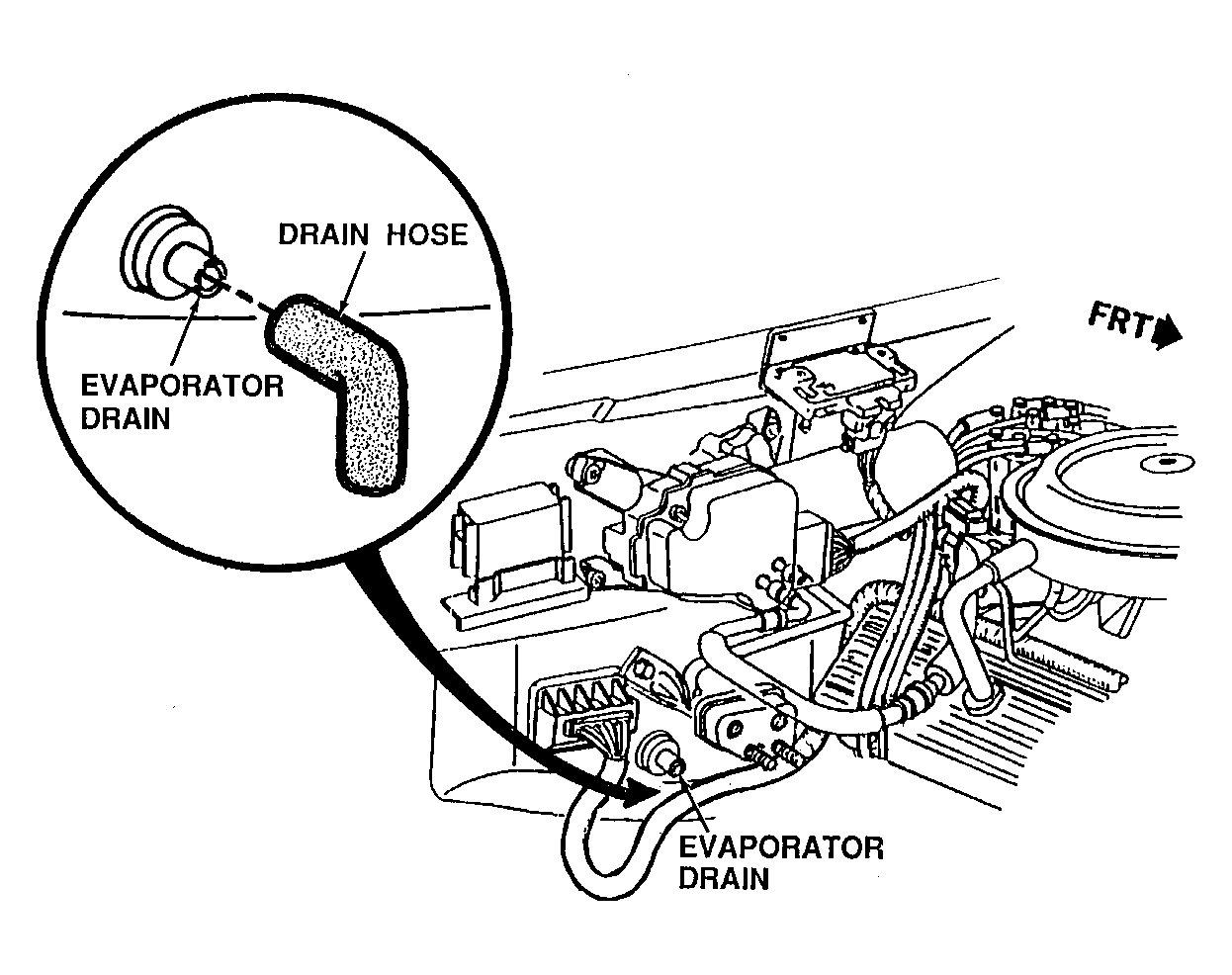 GE00W009532