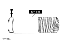 GF0031818