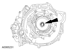 GF0039781