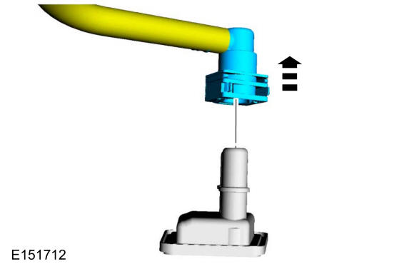 GFD13482