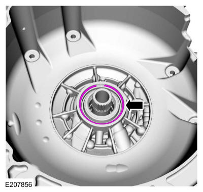 GFD149719