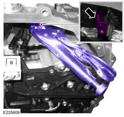 GFD149808