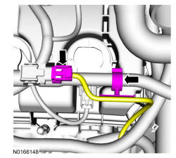GFD338691