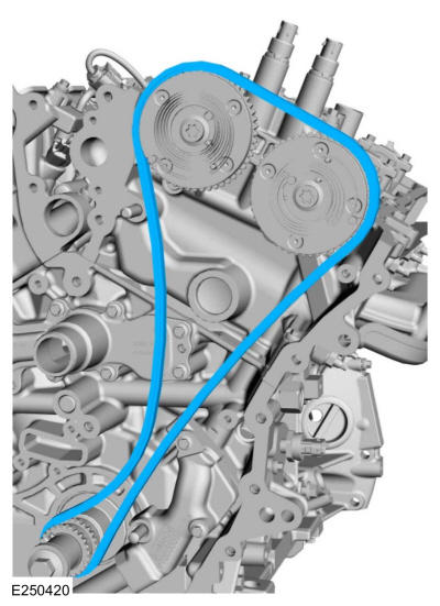 GFD344706
