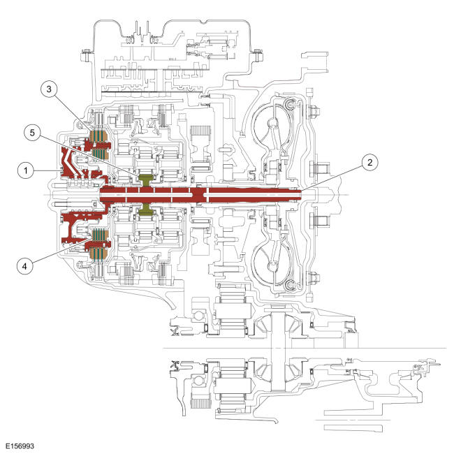 GFD49915