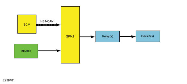 GFD787805