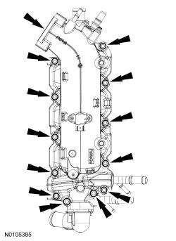 GFD82596