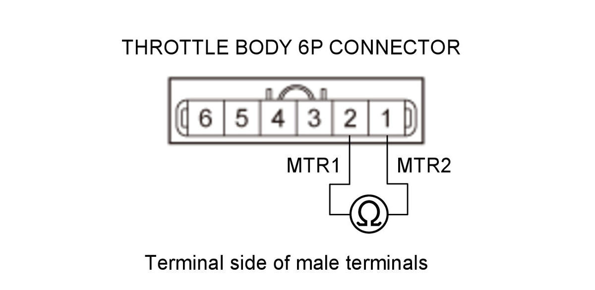 GHH345186