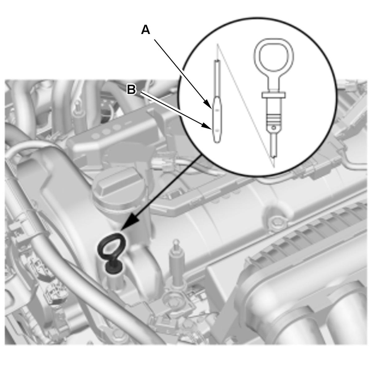 GHH419588