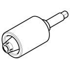GLL156863