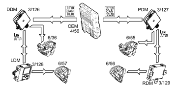 GLL174381