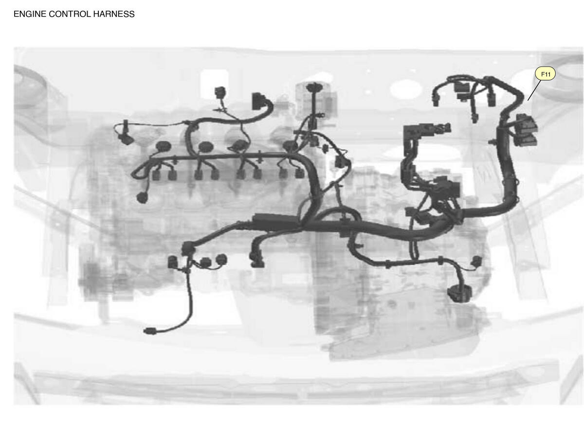 GNSW83164_LK_F011
