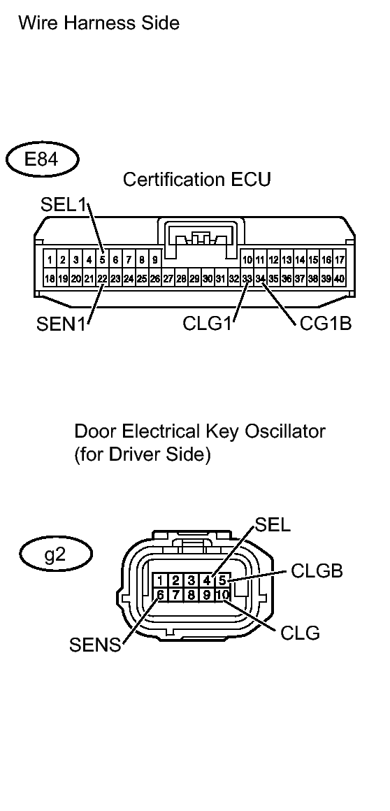 GTY242607