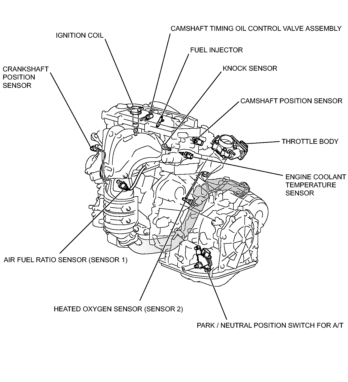 GTY314238